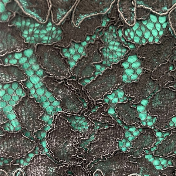 Tadashi shoji Elegant Green Lace Dress sz 10 - Picture 10 of 13